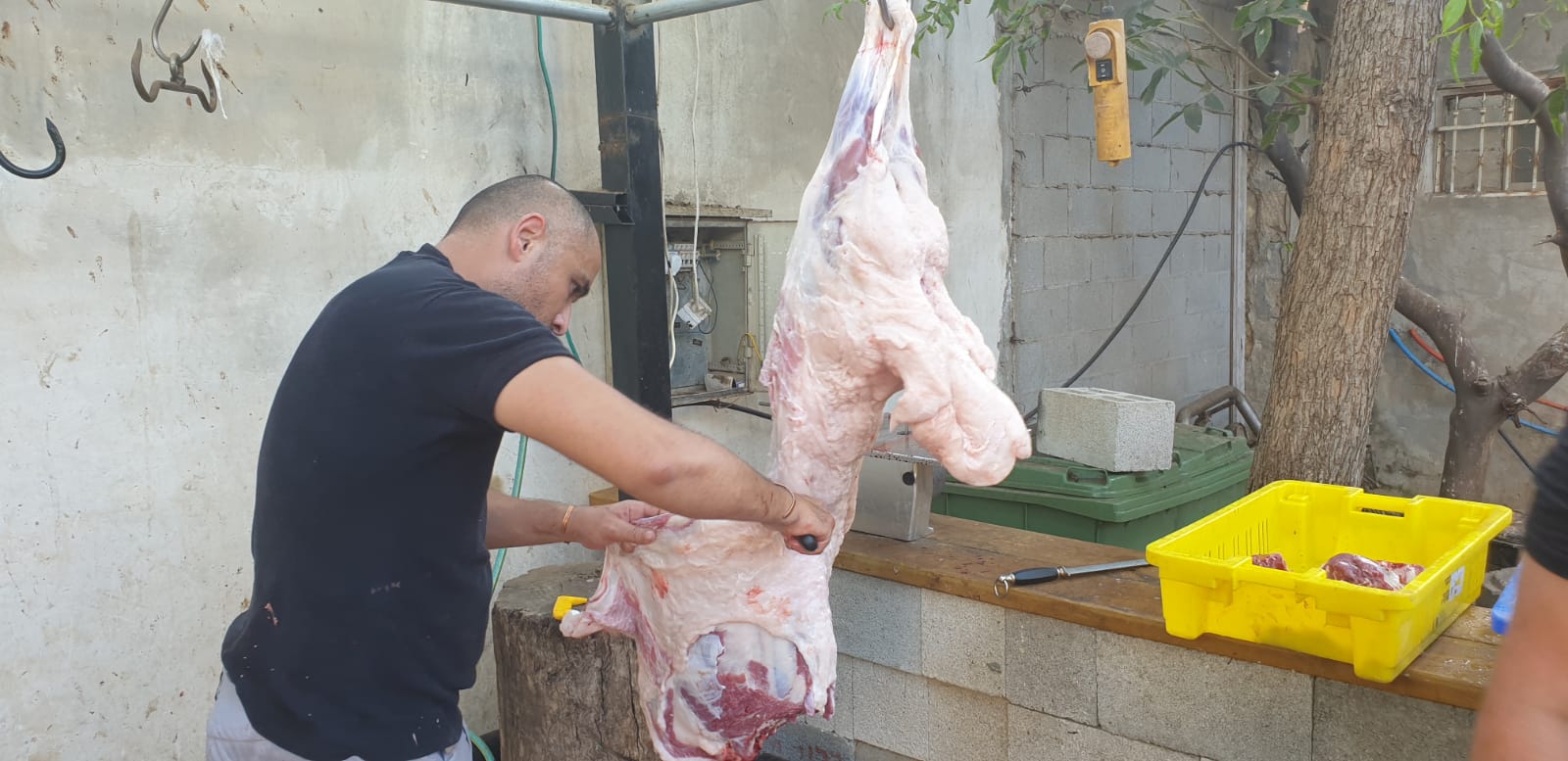 WhatsApp Image 2020-08-24 at 8.14.20 AM.jpeg.jpeg